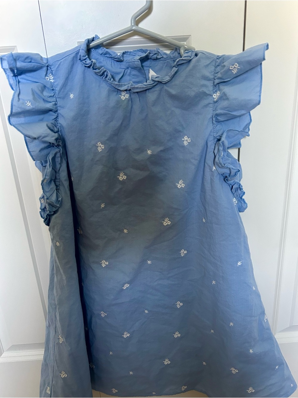 Janie and Jack Light Blue Ruffle-Sleeve Embroidered Dress